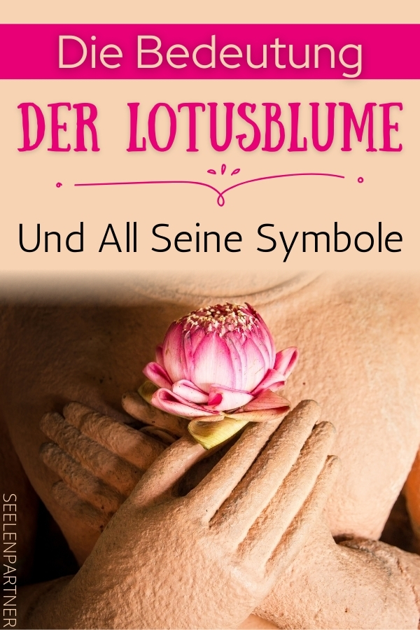 Die Bedeutung der Lotusblume und all seine Symbole