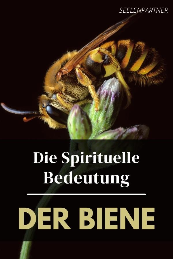 Die spirituelle Bedeutung der Biene