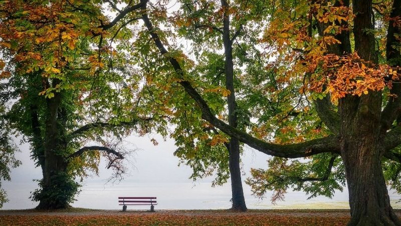 Liebe, Karriere und das Glück für alle Sternzeichen im September 2021