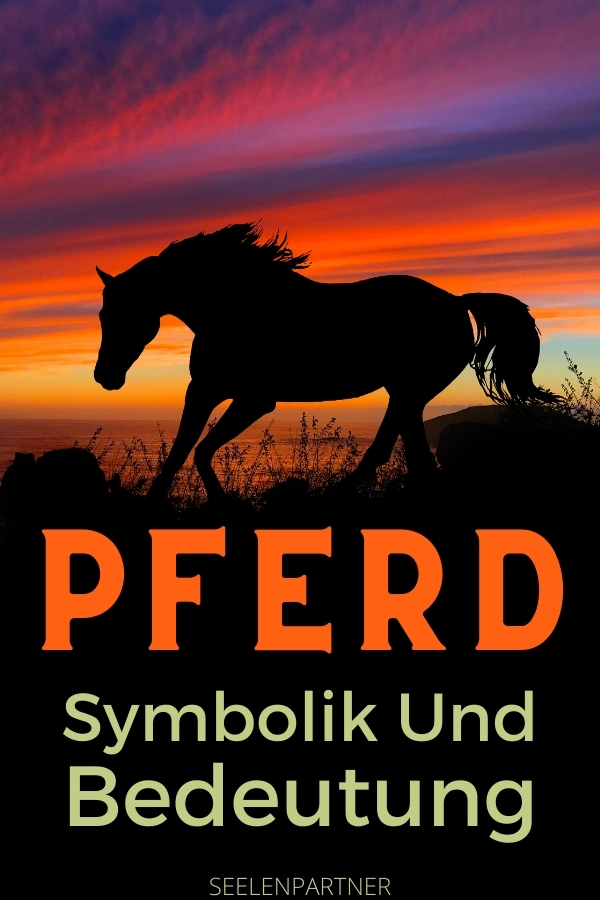 Pferd-Symbolik und Bedeutung