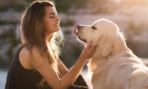 Sichere 4 Gründe, warum introvertierte Menschen eng mit ihren Haustieren verbunden sind