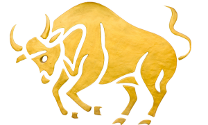 Das Horoskop für Stier im Oktober 2022