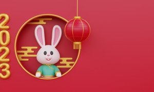 Chinesisches Tierkreiszeichen Hase: Persönlichkeitseigenschaften, Liebesleben, Karriere und mehr