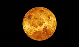 Wie man die Venus-Rückläufigkeit in Löwe 2023 überlebt